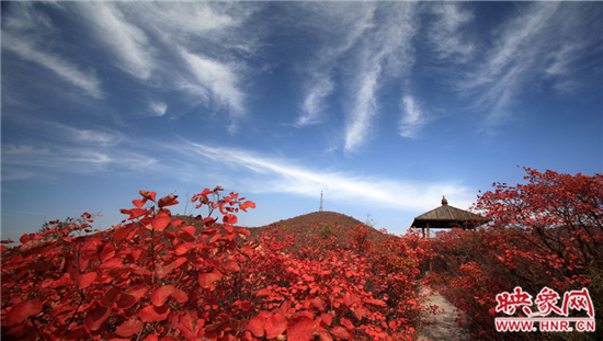 青天河景區(qū)空氣負(fù)離子濃度超高 是天然大氧吧
