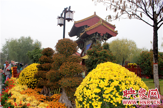 天好、花美 中國開封第32屆菊花文化節(jié)延長一周