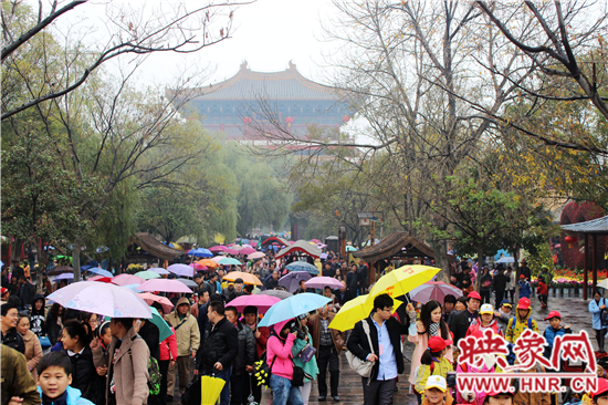 天好、花美 中國開封第32屆菊花文化節(jié)延長一周