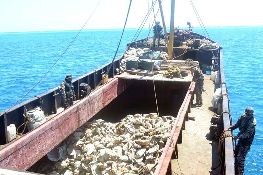 被檢查的中國漁船被菲方指控為非法捕魚。圖為菲律賓海軍持槍檢查中國漁民的照片。