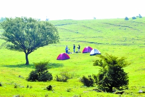 洛陽黛眉山景區(qū)開園迎賓，明年五一前免費開放
