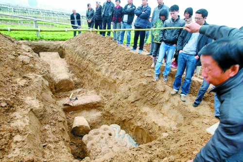 碑帽、赑屃、碑座、碑身依次排開