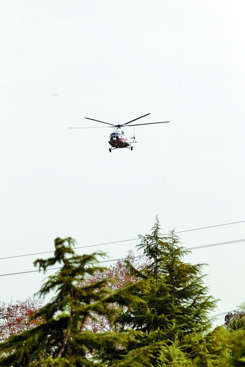 輕拋一點(diǎn)入云去，利眼“鐵鷹”掠地來(lái)