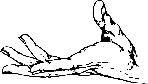 　時(shí)間：拿到通知書，未報(bào)到就可申請(qǐng)