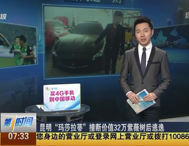 昆明“瑪莎拉蒂”撞斷價(jià)值32萬(wàn)紫薇樹(shù)后逃逸