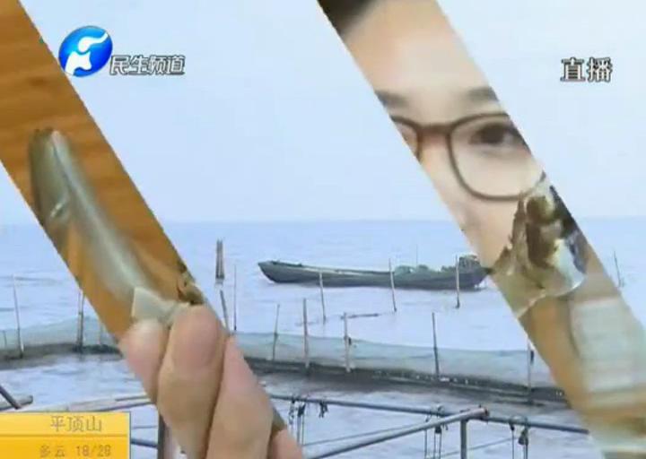 陽(yáng)澄湖大閘蟹？假的！