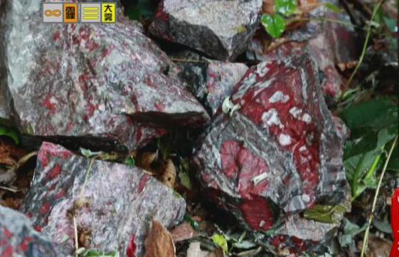 驚！神農(nóng)架無(wú)人區(qū)現(xiàn)神秘玉石