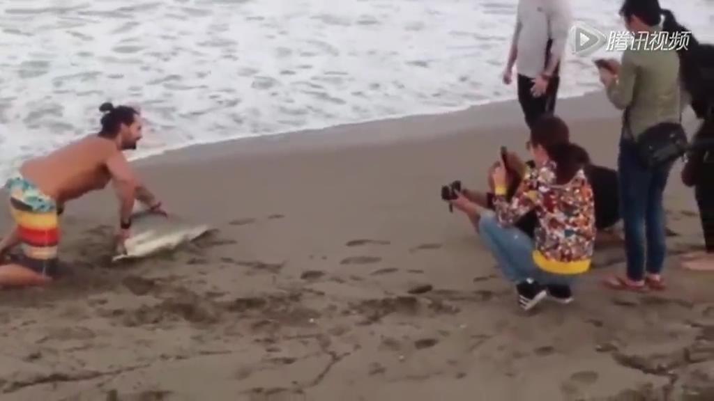 實(shí)拍男子將擱淺鯊魚(yú)強(qiáng)行拖上岸合照