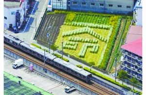 日本2005年列車事故現(xiàn)場附近的一塊農(nóng)田里勾勒出一個(gè)“命”字，以警世人。