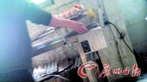 工作人員正在為“土雞蛋”噴日期碼。