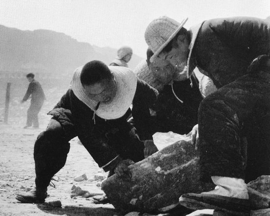 抬石頭，多少人手上都磨出了老繭