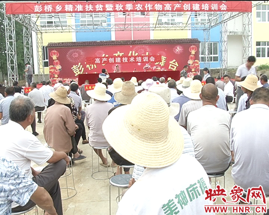 彭橋鄉(xiāng)高產(chǎn)創(chuàng)建技術(shù)培訓(xùn)會