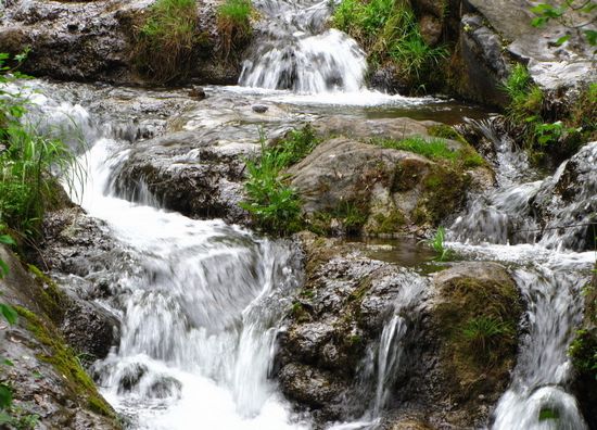 全國大學(xué)生記者旅游體驗季8月25日在欒川縣舉行